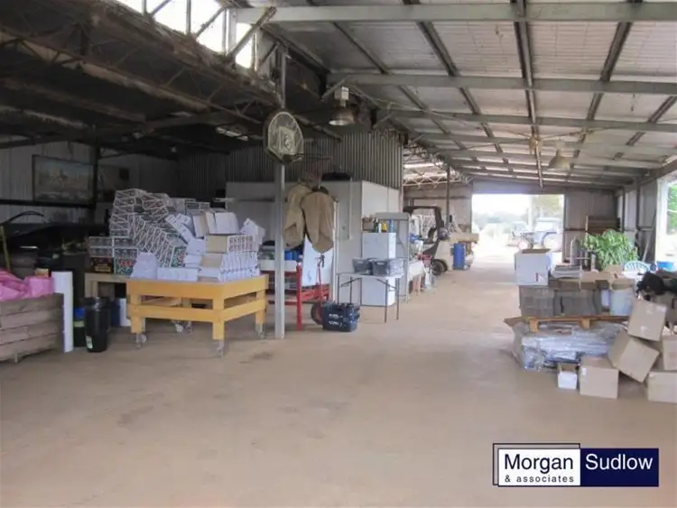 Fifth view of Homely rural property listing, 275 Springall Road, Deanmill WA 6258
