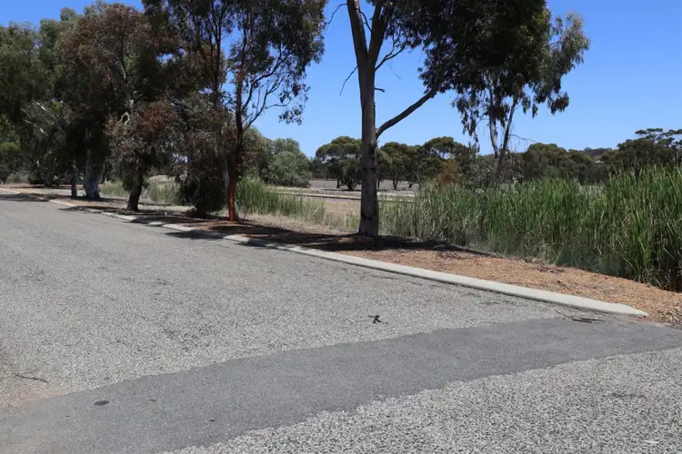 Fifth view of Homely land listing, 13 Moss Parade, Wickepin WA 6370