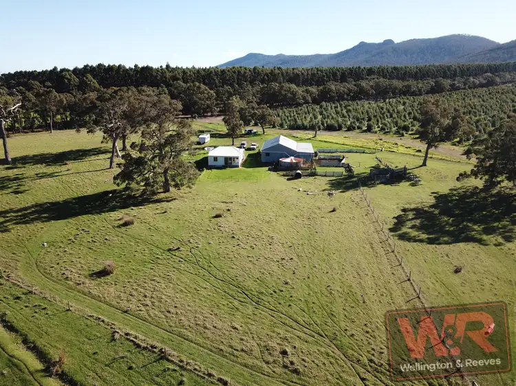 Main view of Homely rural property listing, 64 Sixpenny Road, Porongurup WA 6324