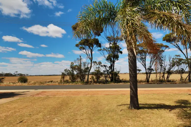 Sixth view of Homely house listing, 48 Griffin Street, Lake Grace WA 6353