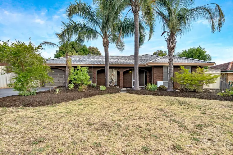 7 Ash Court, Armadale WA 6112