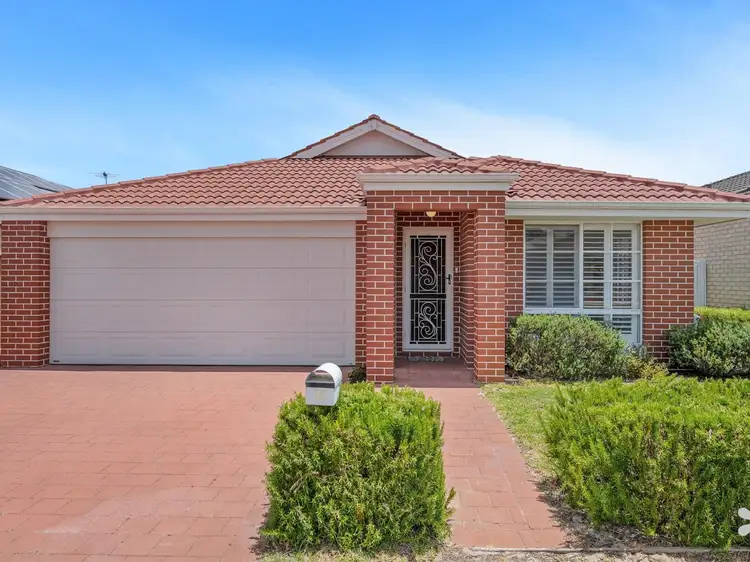 Main view of Homely house listing, 16 Blossom Chase, Aubin Grove WA 6164