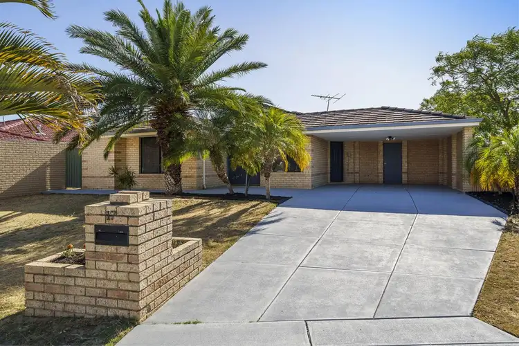 Second view of Homely house listing, 17 Sabine Grove, Alexander Heights WA 6064