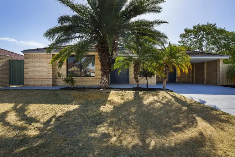 Third view of Homely house listing, 17 Sabine Grove, Alexander Heights WA 6064