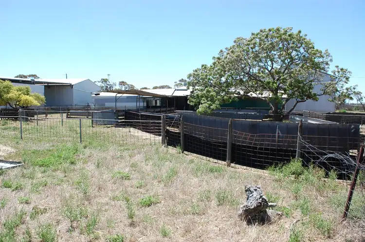 Sixth view of Homely rural property listing, Grass Patch West Road, Grass Patch WA 6446