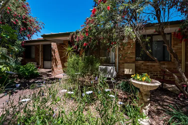 Main view of Homely villa listing, 6/10 Kenilworth Street, Maylands WA 6051