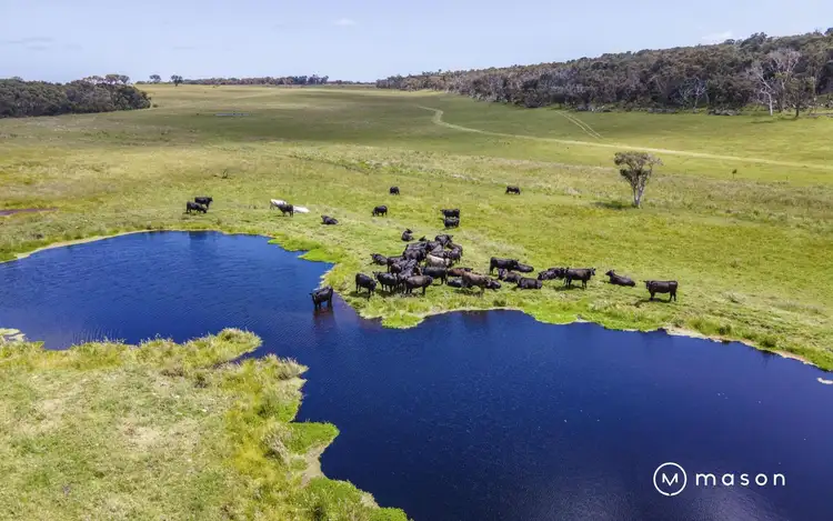 Fourth view of Homely house listing, 48376 South Coast Highway, Marbelup WA 6330