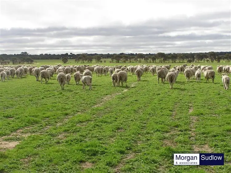 375 KENT ROAD, Bodallin WA 6424