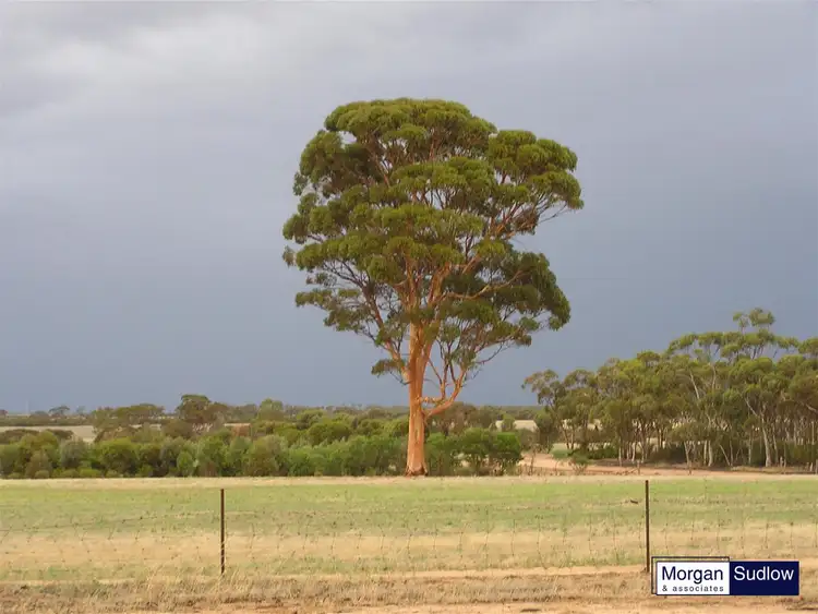 Second view of Homely rural property listing, 375 KENT ROAD, Bodallin WA 6424
