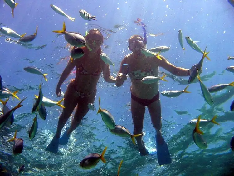 Third view of Homely house listing, 22 Wahoo Court, Coral Bay WA 6701