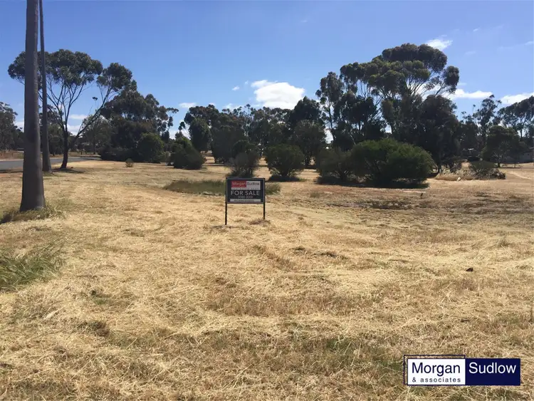 Third view of Homely rural property listing, 201 Warren Road, Katanning WA 6317