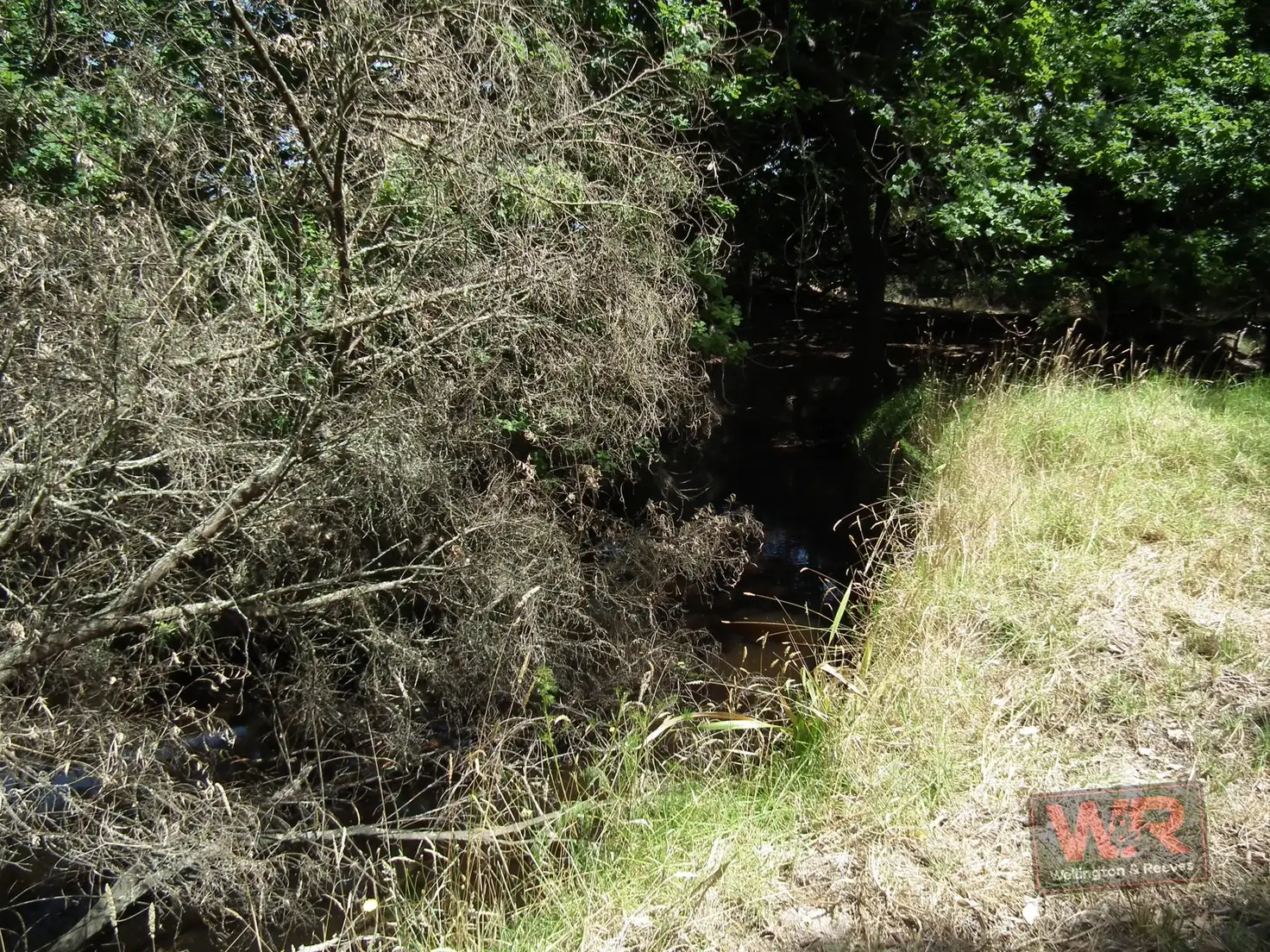 Main view of Homely land listing, Lot 23 Warren Road, Millbrook WA 6330