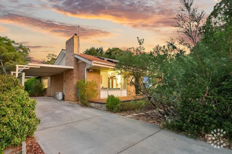 46 Tonkin Road, Hilton WA 6163