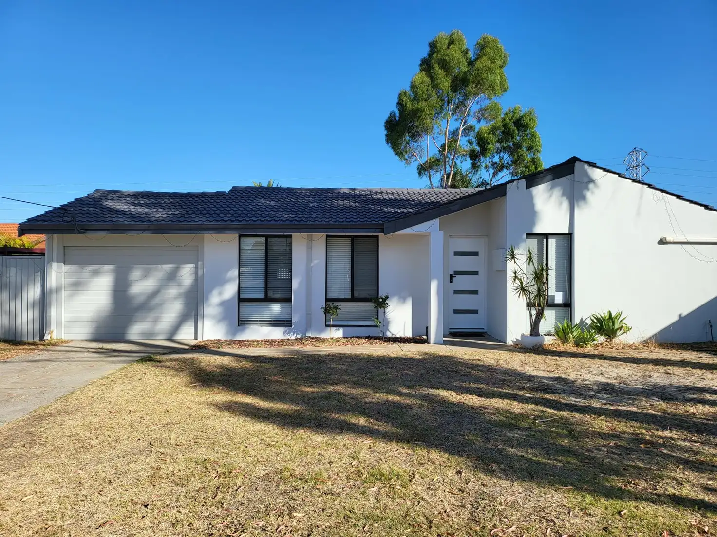 Main view of Homely house listing, 5 Tremandra Way, Parkwood WA 6147