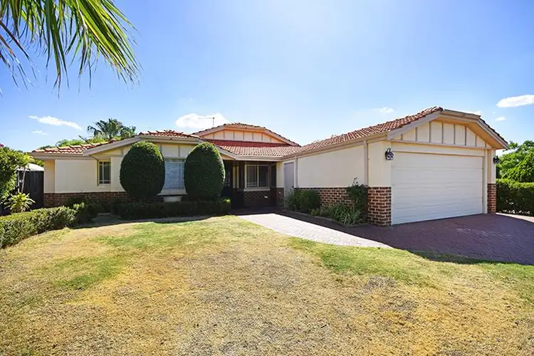 Main view of Homely house listing, 19 Cabernet Place, The Vines WA 6069