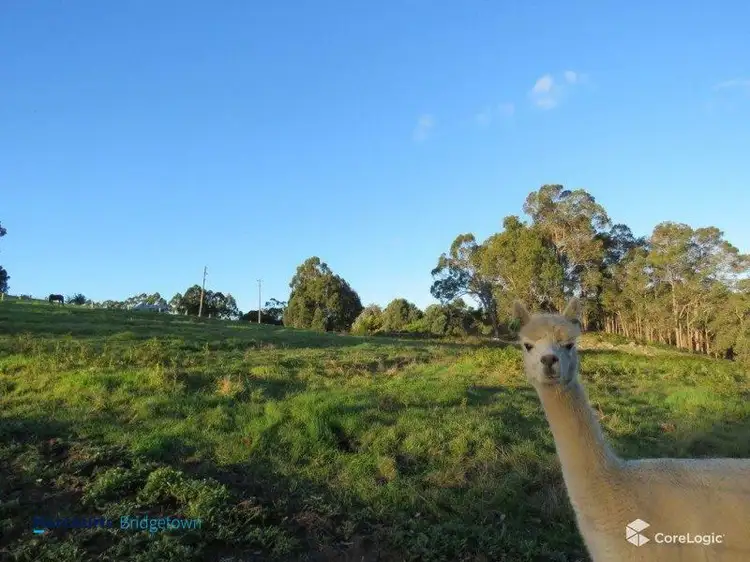 Fifth view of Homely land listing, Lot 722 Walter Road, Bridgetown WA 6255