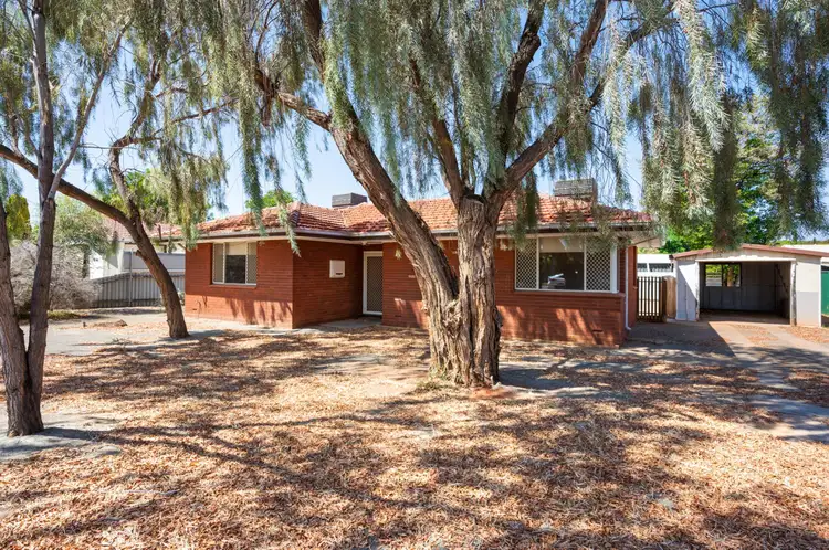 4 Alderdice Place, Lamington WA 6430