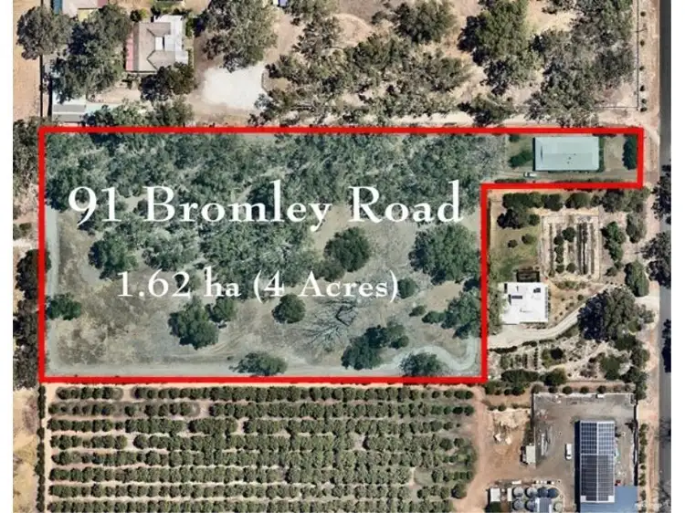 Third view of Homely house listing, 91 Bromley Road, Herne Hill WA 6056