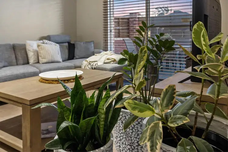 Fourth view of Homely villa listing, 1/31 Daley Street, Yokine WA 6060