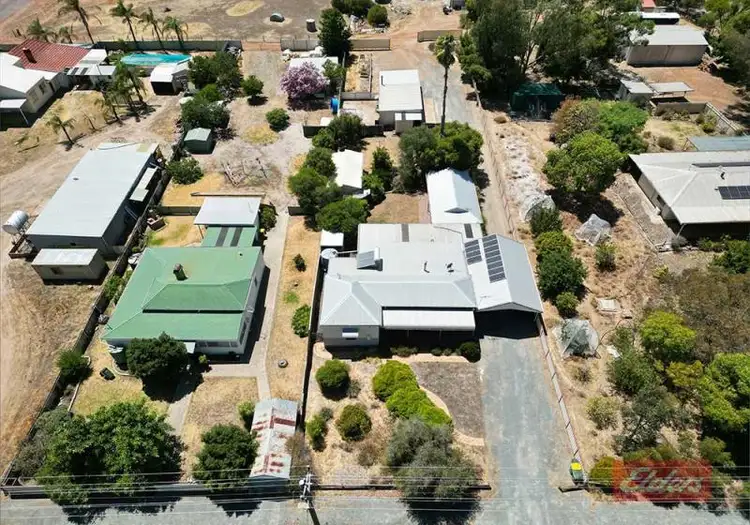 Main view of Homely house listing, 41 Mokine Road, Narrogin WA 6312