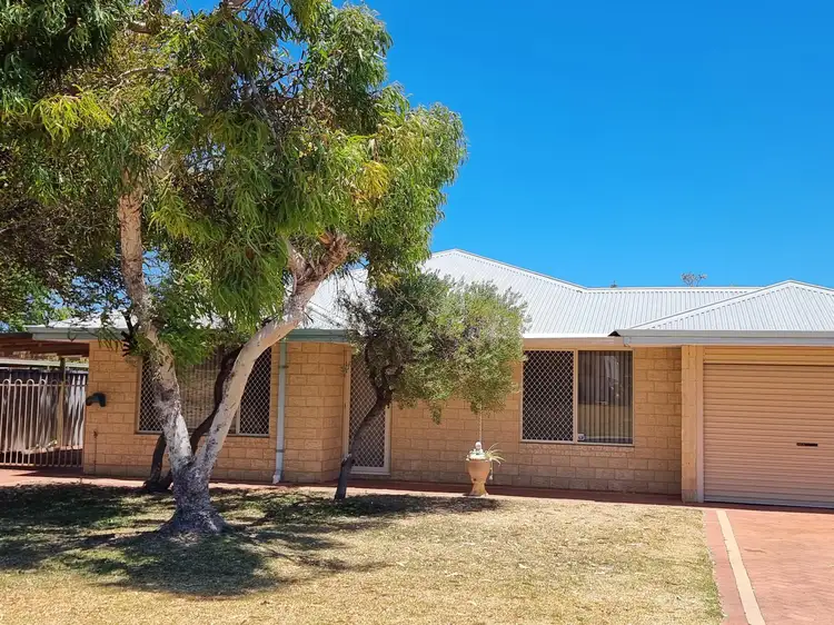 Main view of Homely house listing, 13 Barrett-Lennard Drive, Ledge Point WA 6043