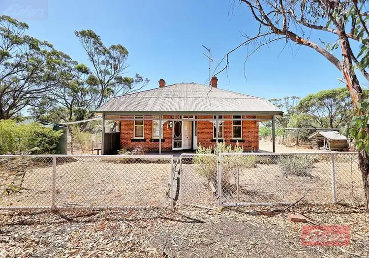 Main view of Homely house listing, 56 Fisher Street, Wickepin WA 6370