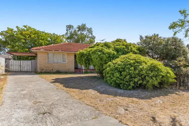 22A Hollybush Way, Kelmscott WA 6111