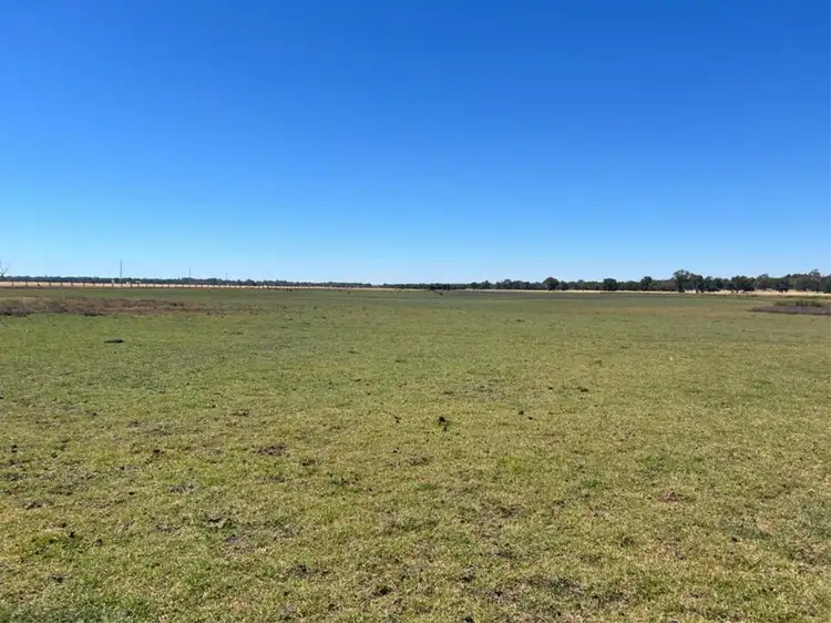 Fifth view of Homely rural property listing, 10 Wellesley Road, Binningup WA 6233