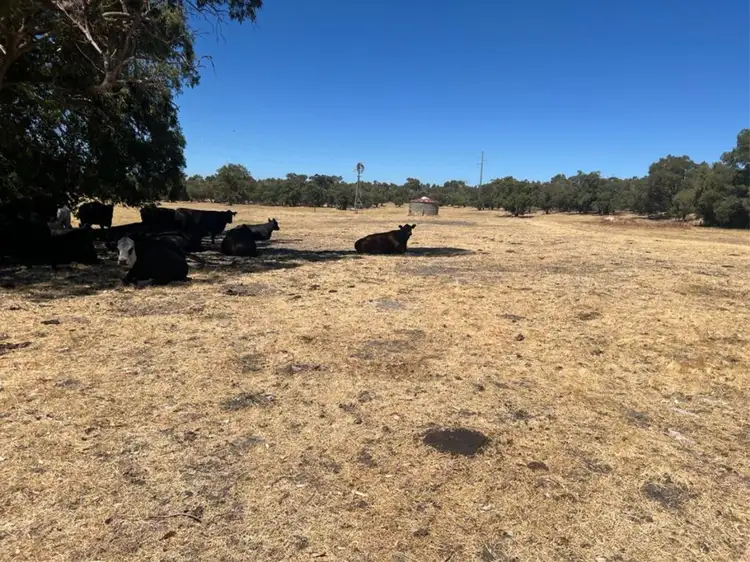 Seventh view of Homely rural property listing, 10 Wellesley Road, Binningup WA 6233