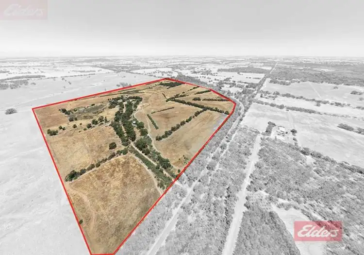 Main view of Homely house listing, 227 Mokine Road, Narrogin WA 6312