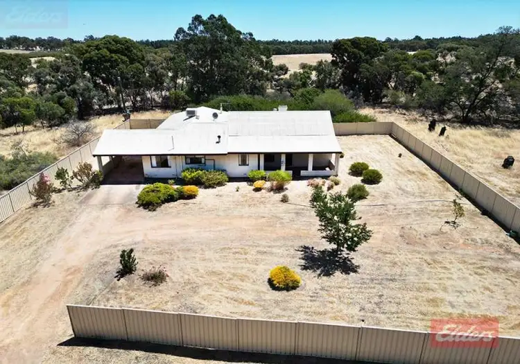 Second view of Homely house listing, 227 Mokine Road, Narrogin WA 6312