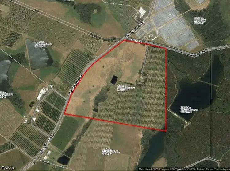 Third view of Homely rural property listing, 225 PIMELEA ROAD, Channybearup WA 6260