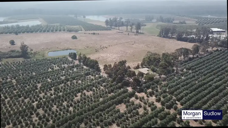 Fourth view of Homely rural property listing, 225 PIMELEA ROAD, Channybearup WA 6260