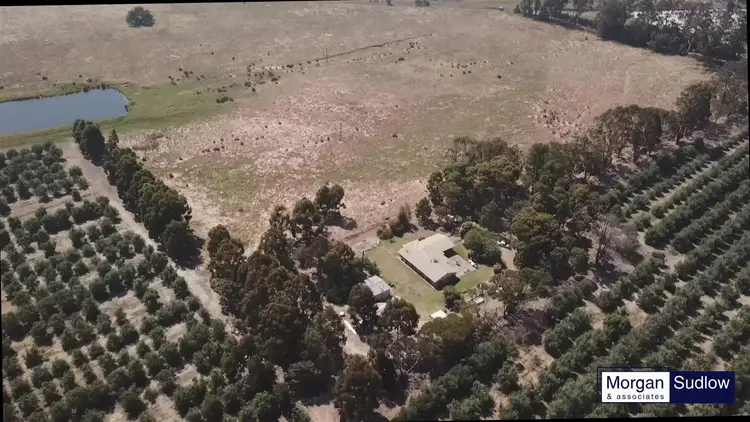 Fifth view of Homely rural property listing, 225 PIMELEA ROAD, Channybearup WA 6260
