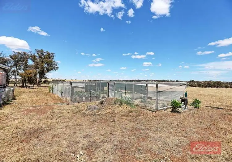 Fifth view of Homely rural property listing, 701 Doyle Road, Bokal WA 6392