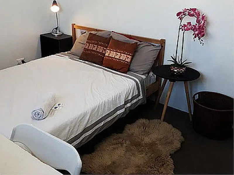 Main view of Homely house listing, Master Rm/16A Marquis Street, Bentley WA 6102