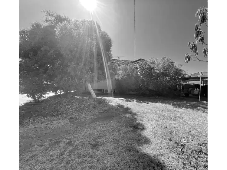 Main view of Homely house listing, 254 Flamborough Street, Doubleview WA 6018