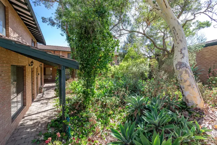 Second view of Homely house listing, 6/1 Raymond Street, Yokine WA 6060