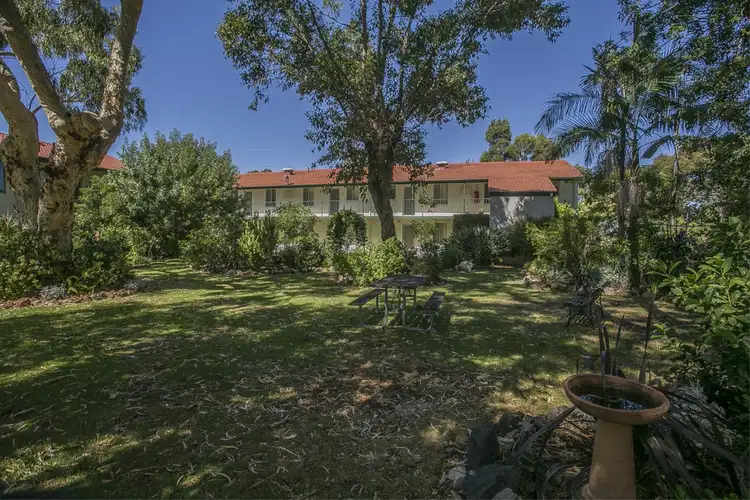 Third view of Homely unit listing, 2/379 Hector Street, Yokine WA 6060