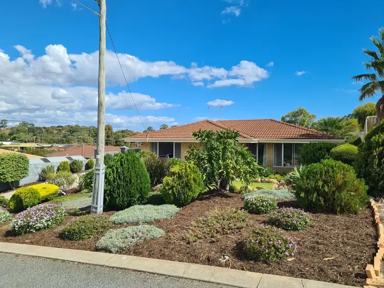 3 Albany Court, Beldon WA 6027