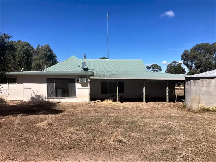Main view of Homely rural property listing, 1362 Datatine Road, Nyabing WA 6341