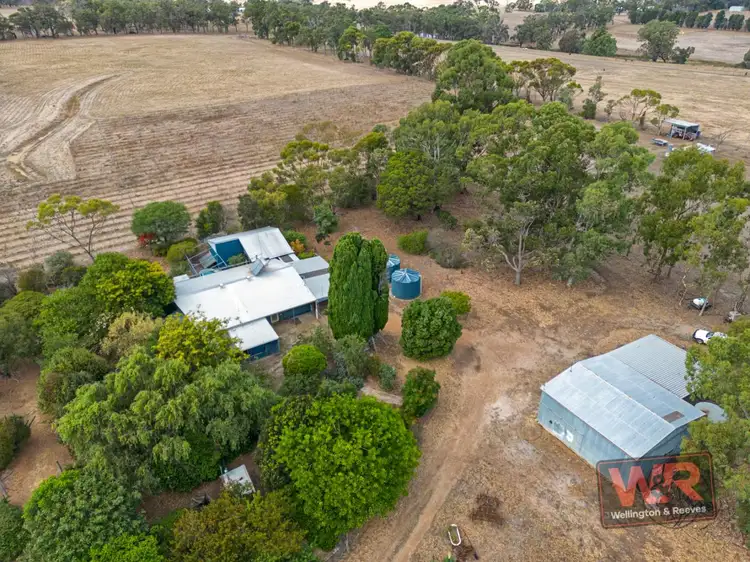 Main view of Homely house listing, 129 West Beattie Road, Mount Barker WA 6324