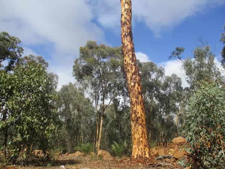 Fourth view of Homely land listing, 259 Mitchell Crescent, Boddington WA 6390