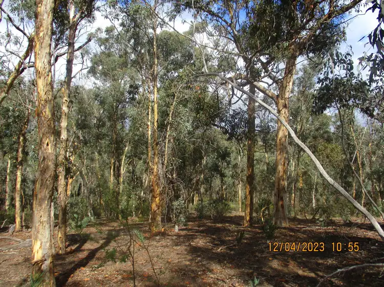 Seventh view of Homely land listing, 259 Mitchell Crescent, Boddington WA 6390
