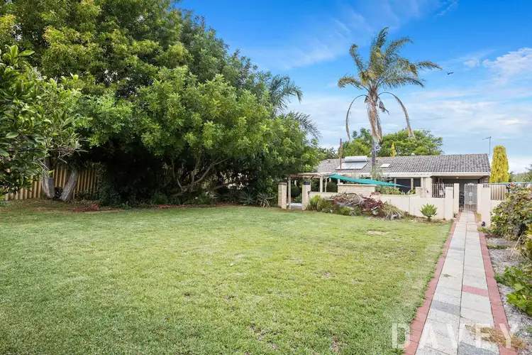 Fifth view of Homely house listing, 11 Yallambee Crescent, Wanneroo WA 6065