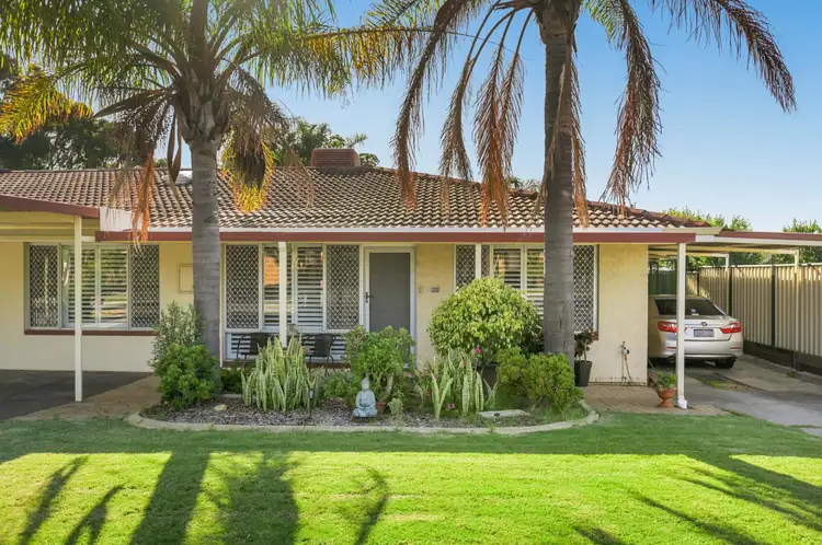 Main view of Homely house listing, 11 Trevithick Close, Stirling WA 6021
