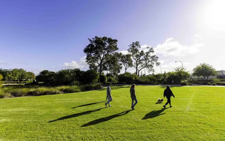 Lot 578, 16 Yellowtail Drive, Vasse WA 6280
