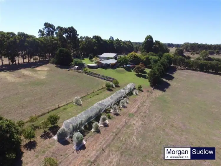Fourth view of Homely rural property listing, DINGUP DINGUP, Dingup WA 6258