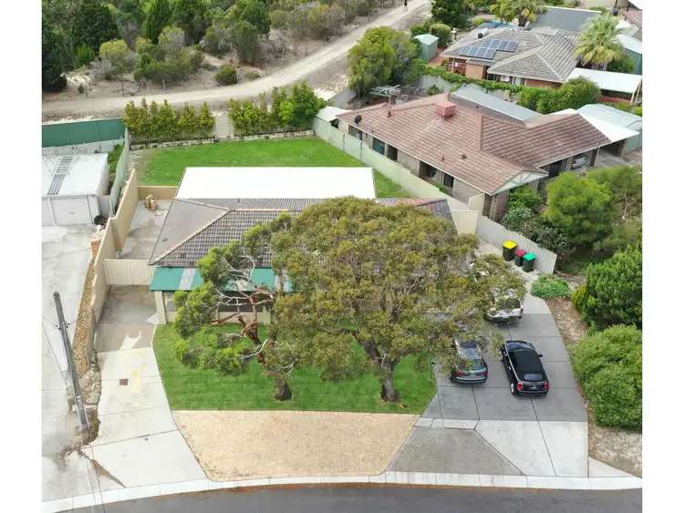 Second view of Homely house listing, 19 Britannia Way, Craigie WA 6025