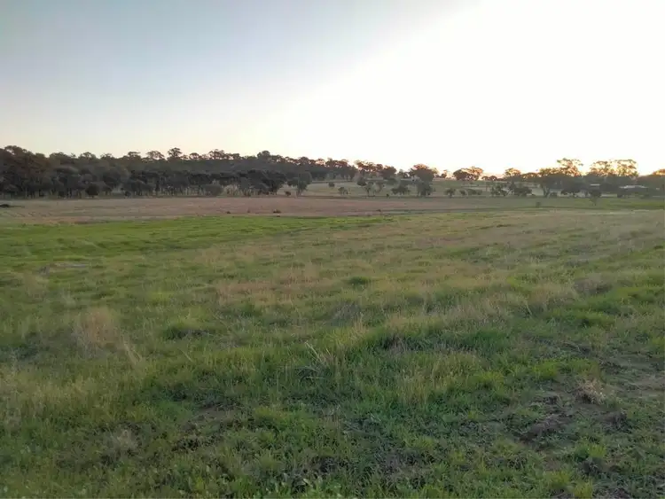 Third view of Homely rural property listing, Lot 62, Osborn Rd, Mount Hardey WA 6302